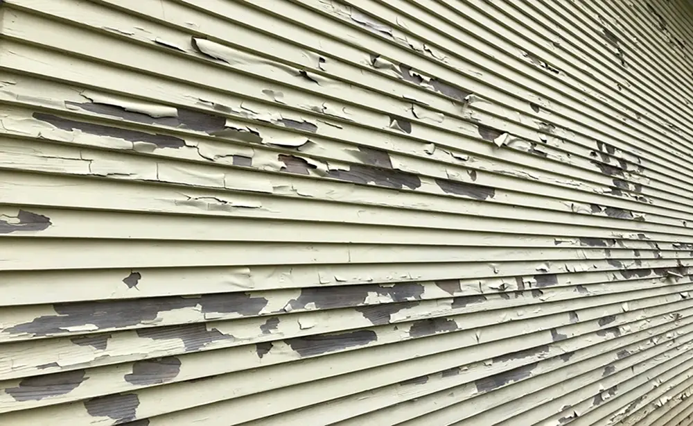Latex Paint Peeling off Cedar Siding